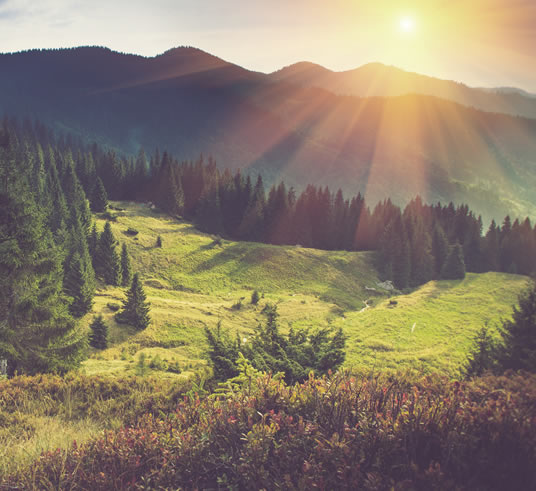 Almlandschaft und Berge im Sommer in Flachau