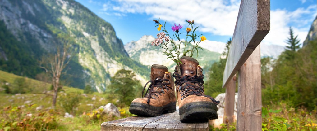 Wanderschuh in blühender Almlandschaft